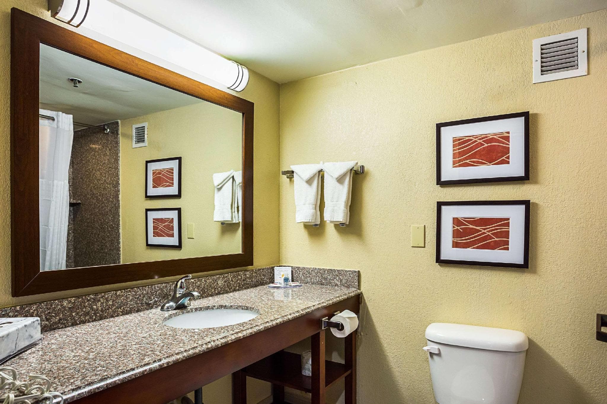 Comfort Inn University Area photo 2