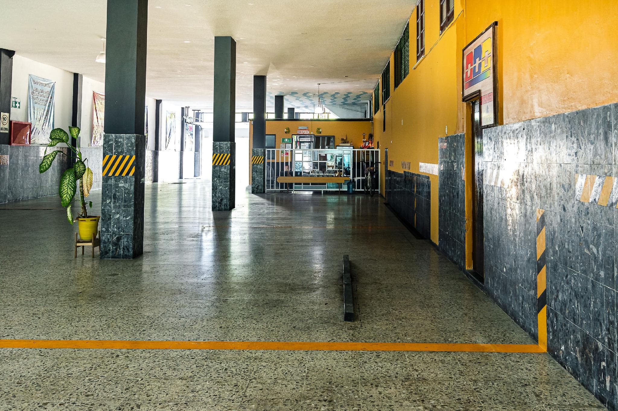 OYO Hotel Merida photo 4