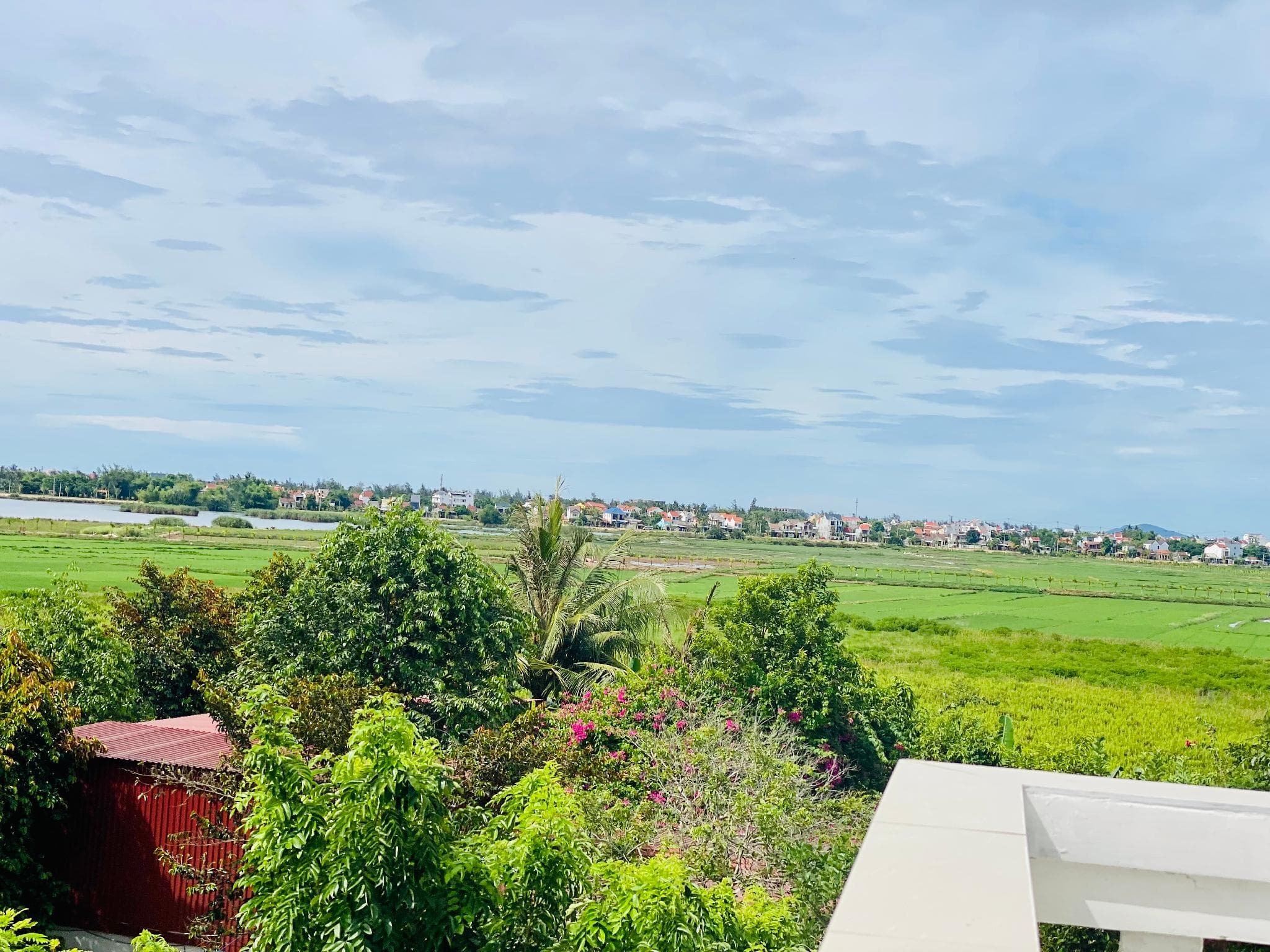 Rice River Villa - Hoi An photo 5