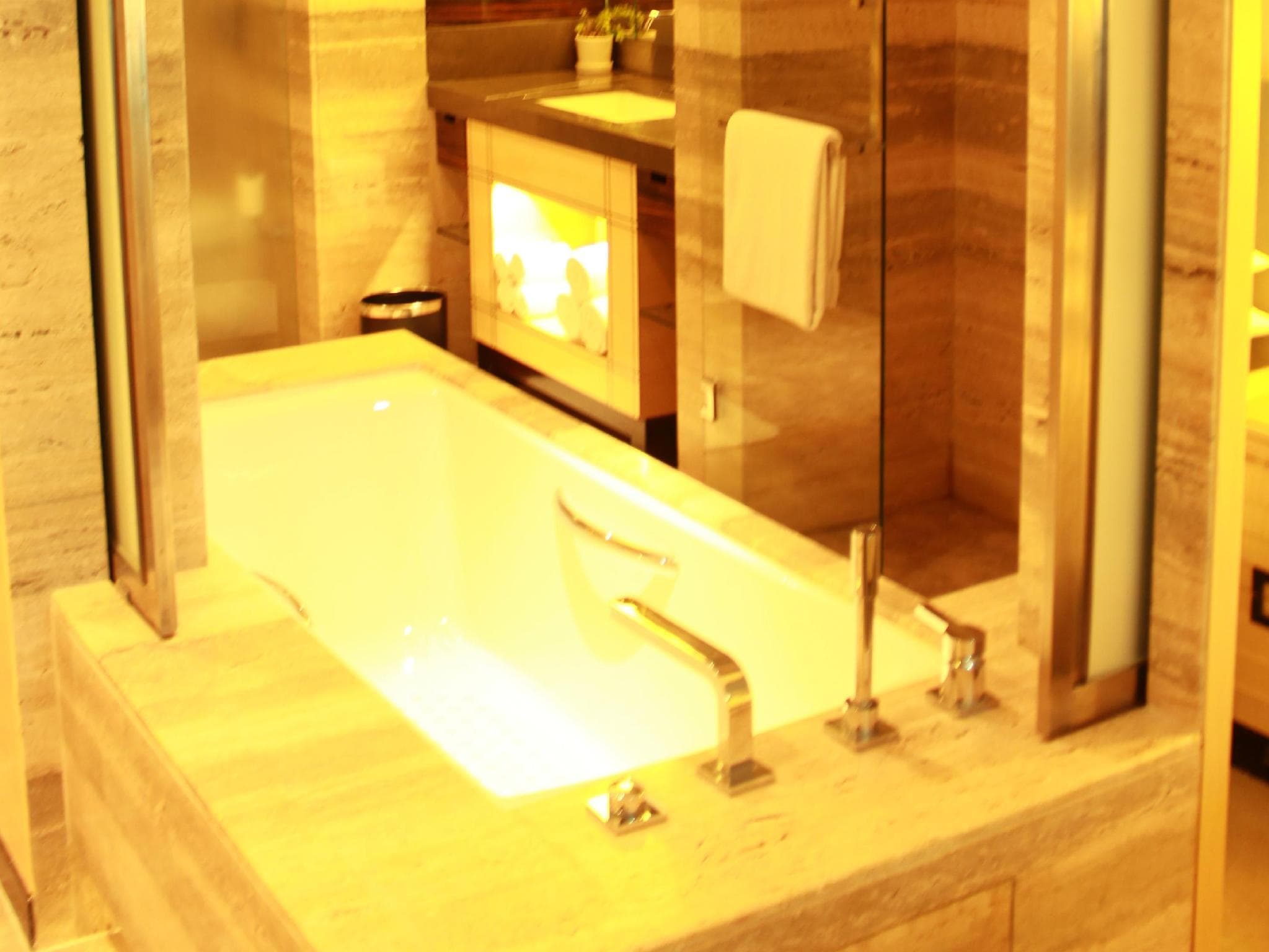 JW Marriott Hotel New Delhi Aerocity photo 3