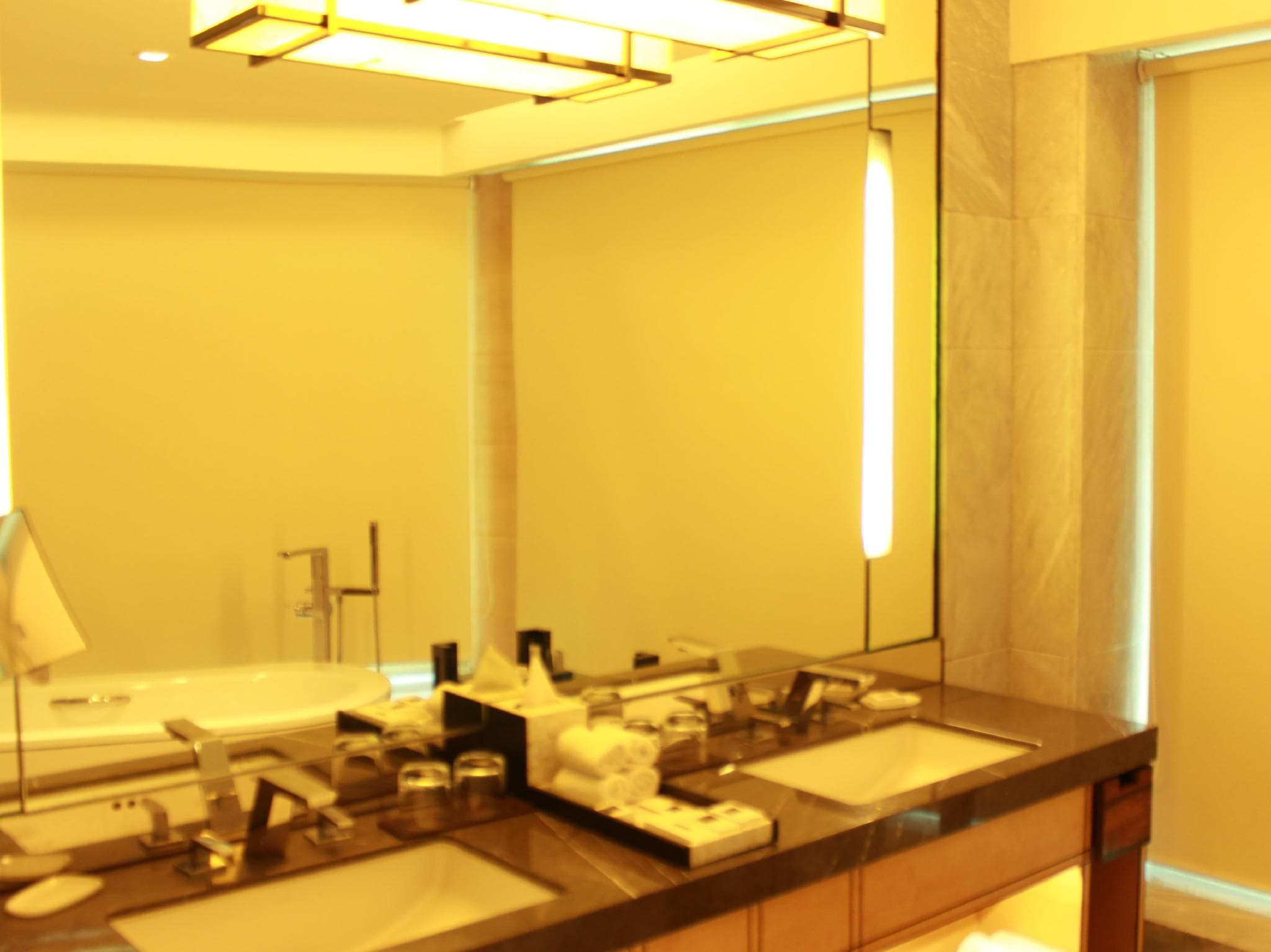 JW Marriott Hotel New Delhi Aerocity photo 5