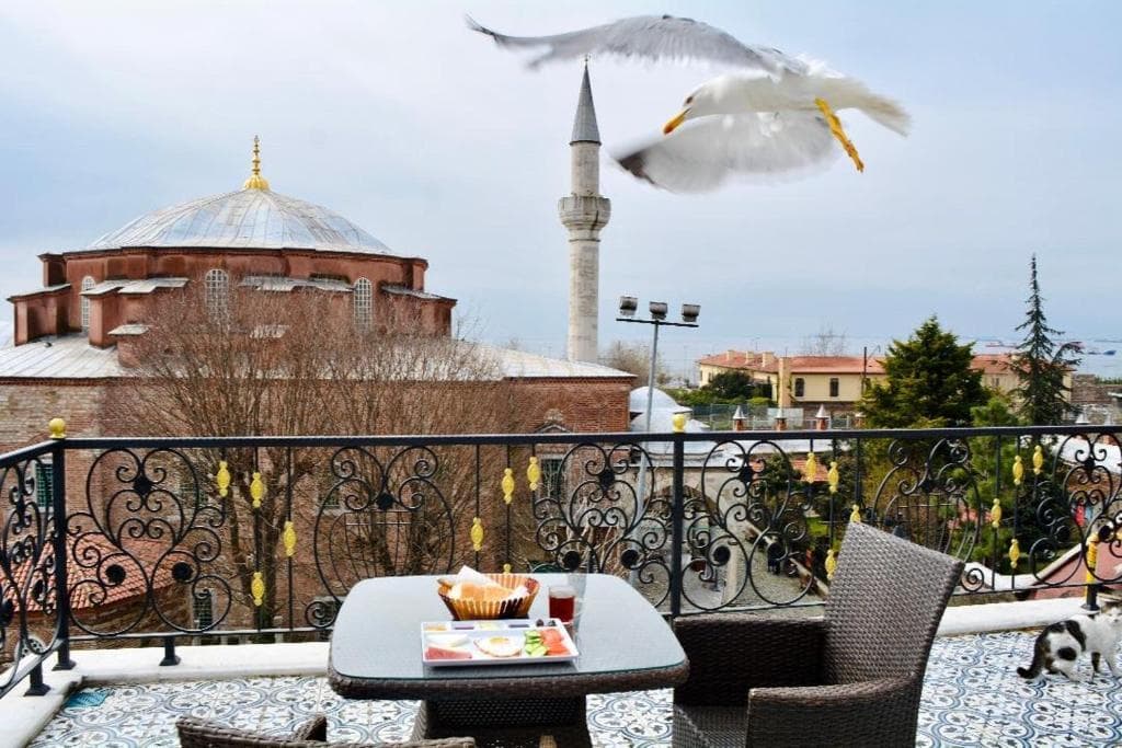 LITTLE SOFIA HOTEL photo 4