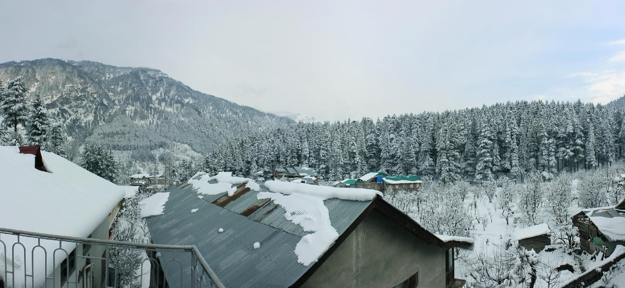 The Orchard Greens Manali photo 5