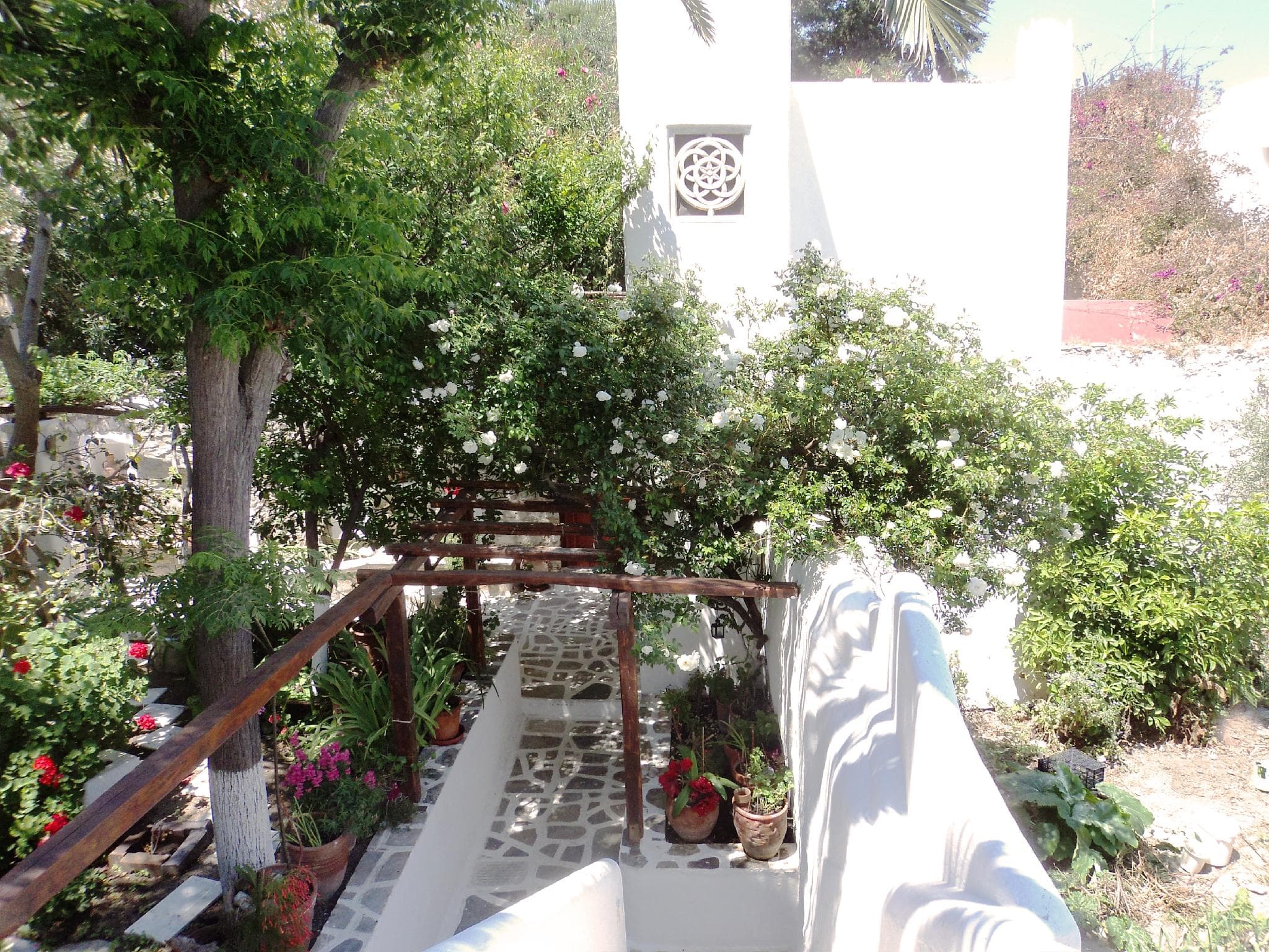 Villa Pinelopi photo 5