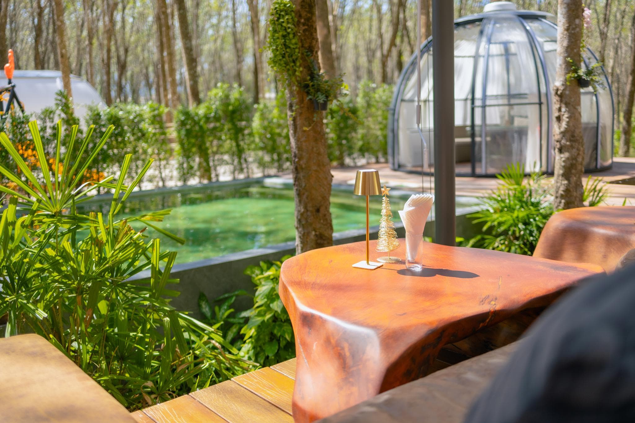 Timber Society Boutique Hideaway photo 5