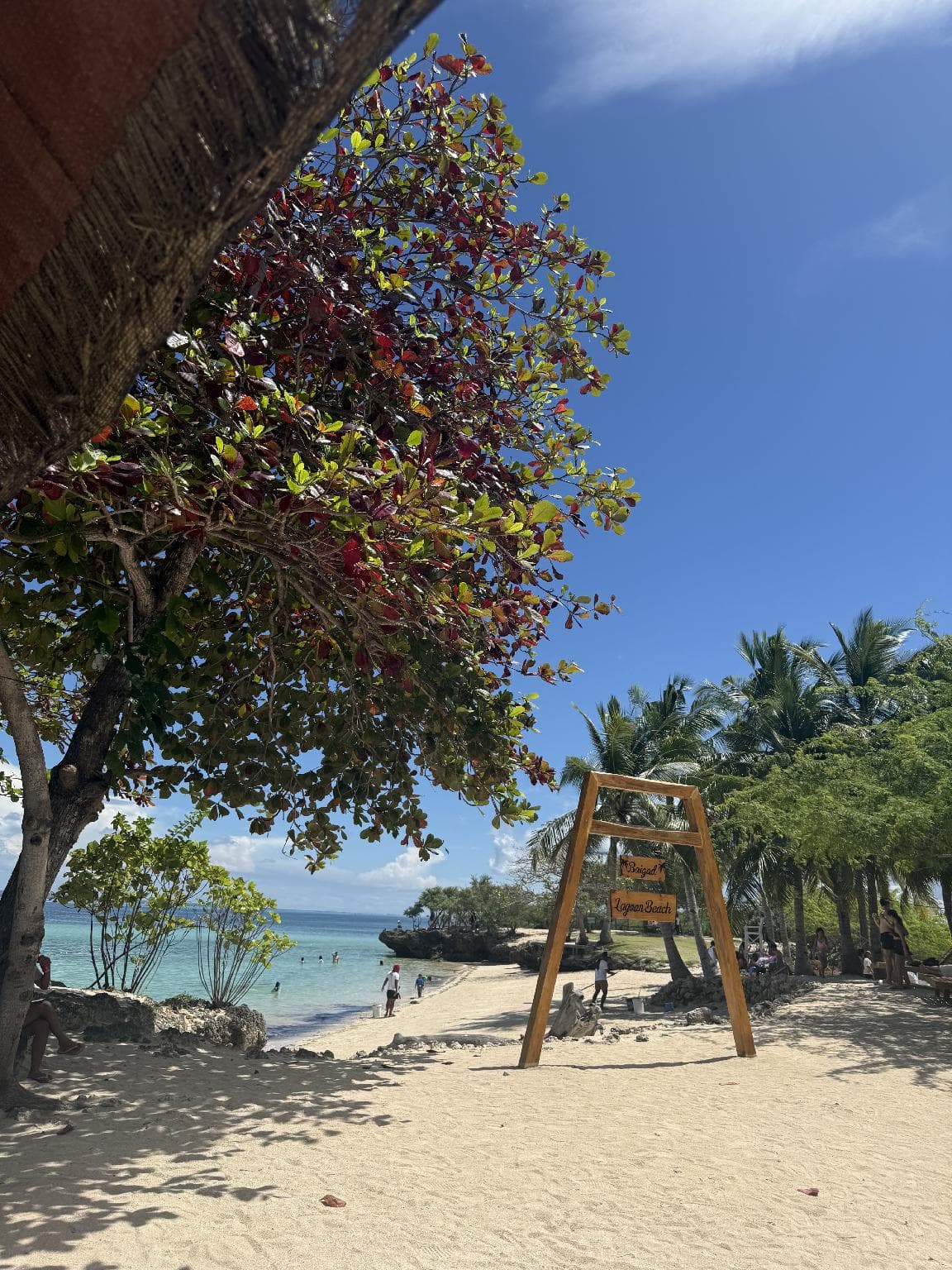Chellie Rose Resort Hotel photo 2