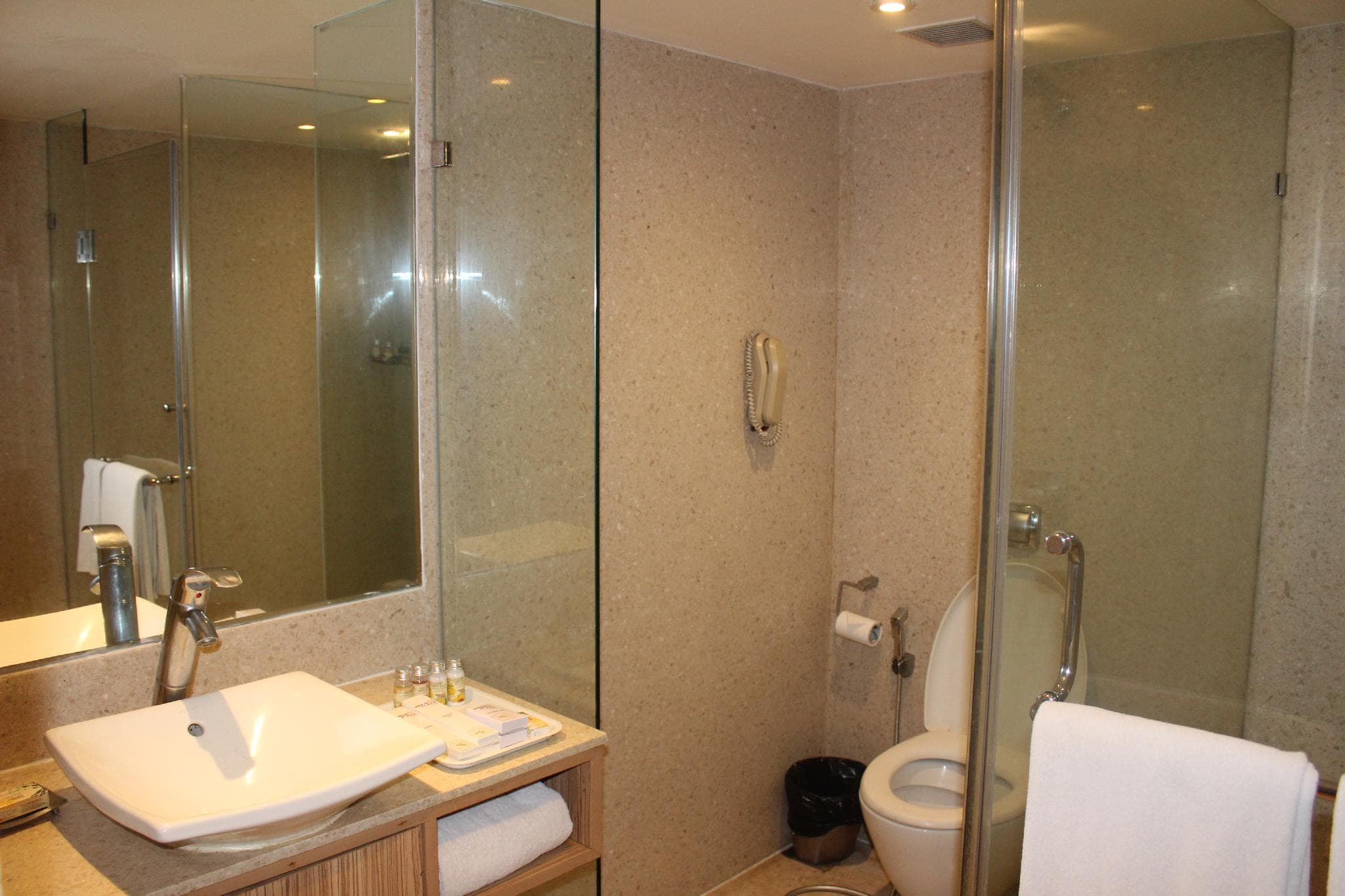 Pride Plaza Hotel Ahmedabad photo 2