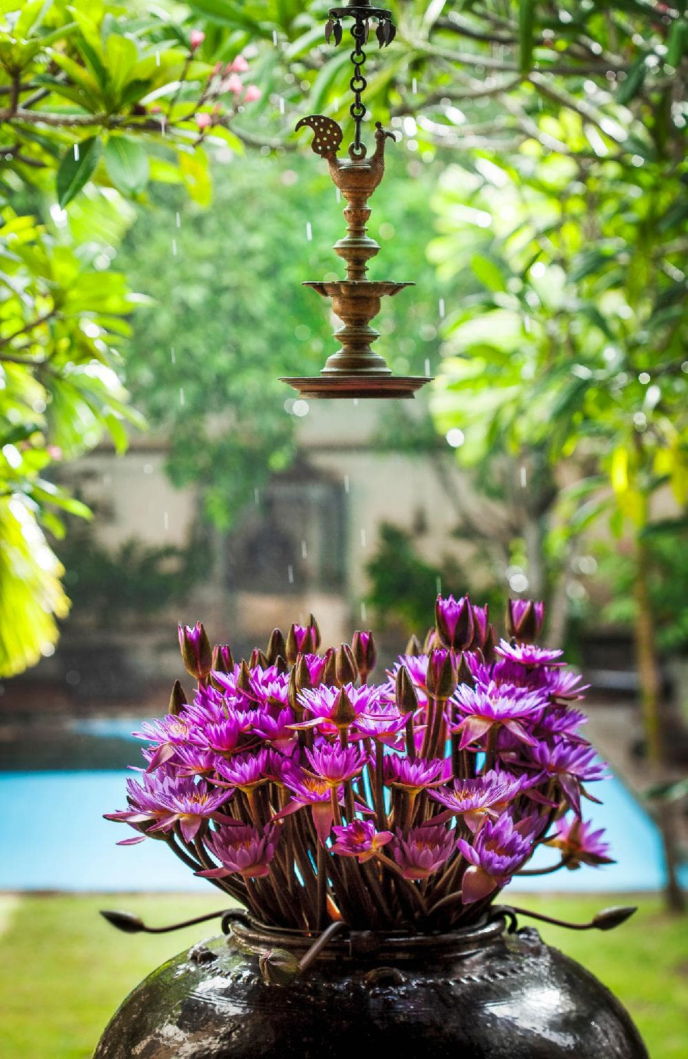 The Galle Fort Hotel photo 5
