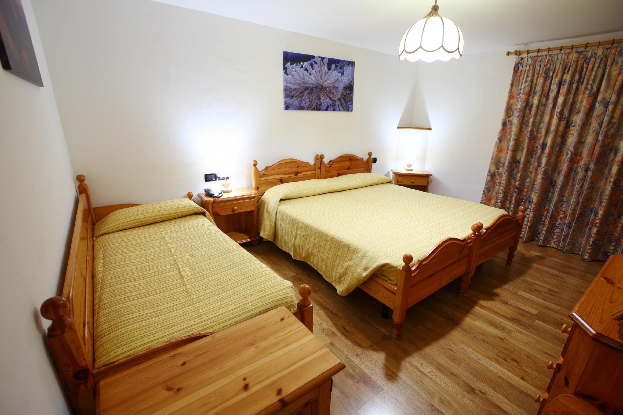 Hotel Des Alpes photo 2