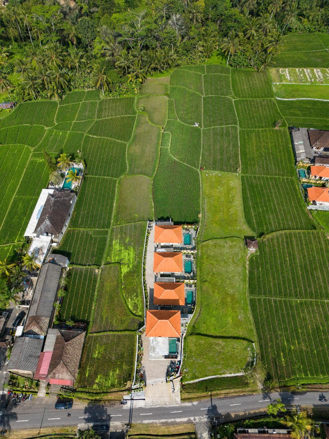 Kori Sebatu Villa, Ubud photo 5