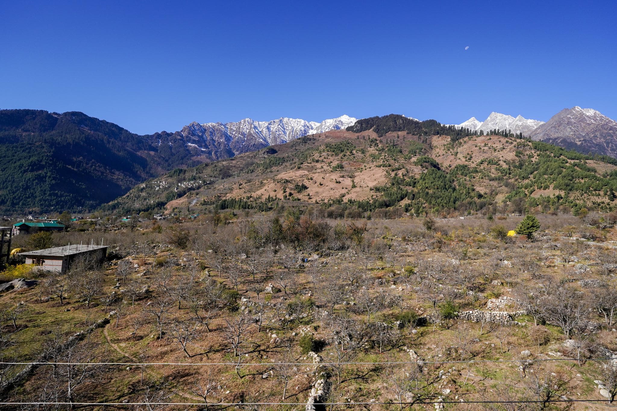 Carom Hotel Manali photo 4