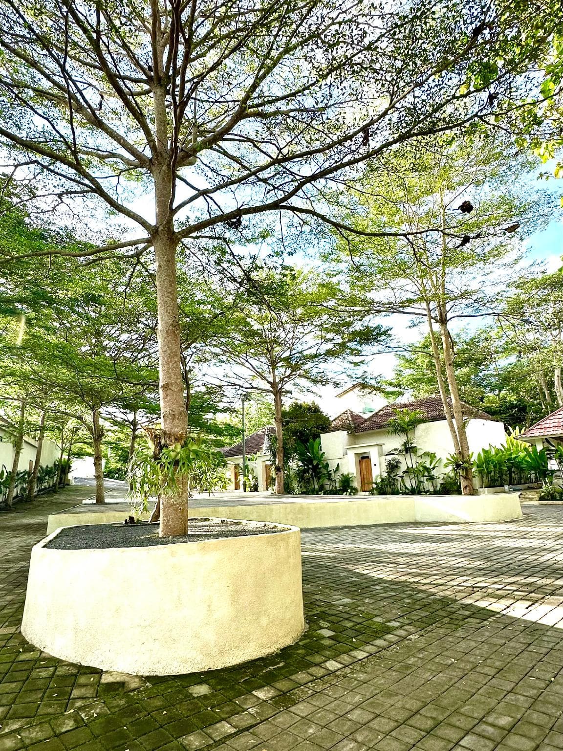 The Ulu Hills photo 3