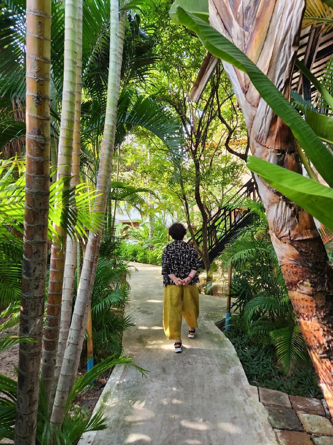 Paradise K Forest Hotel photo 4