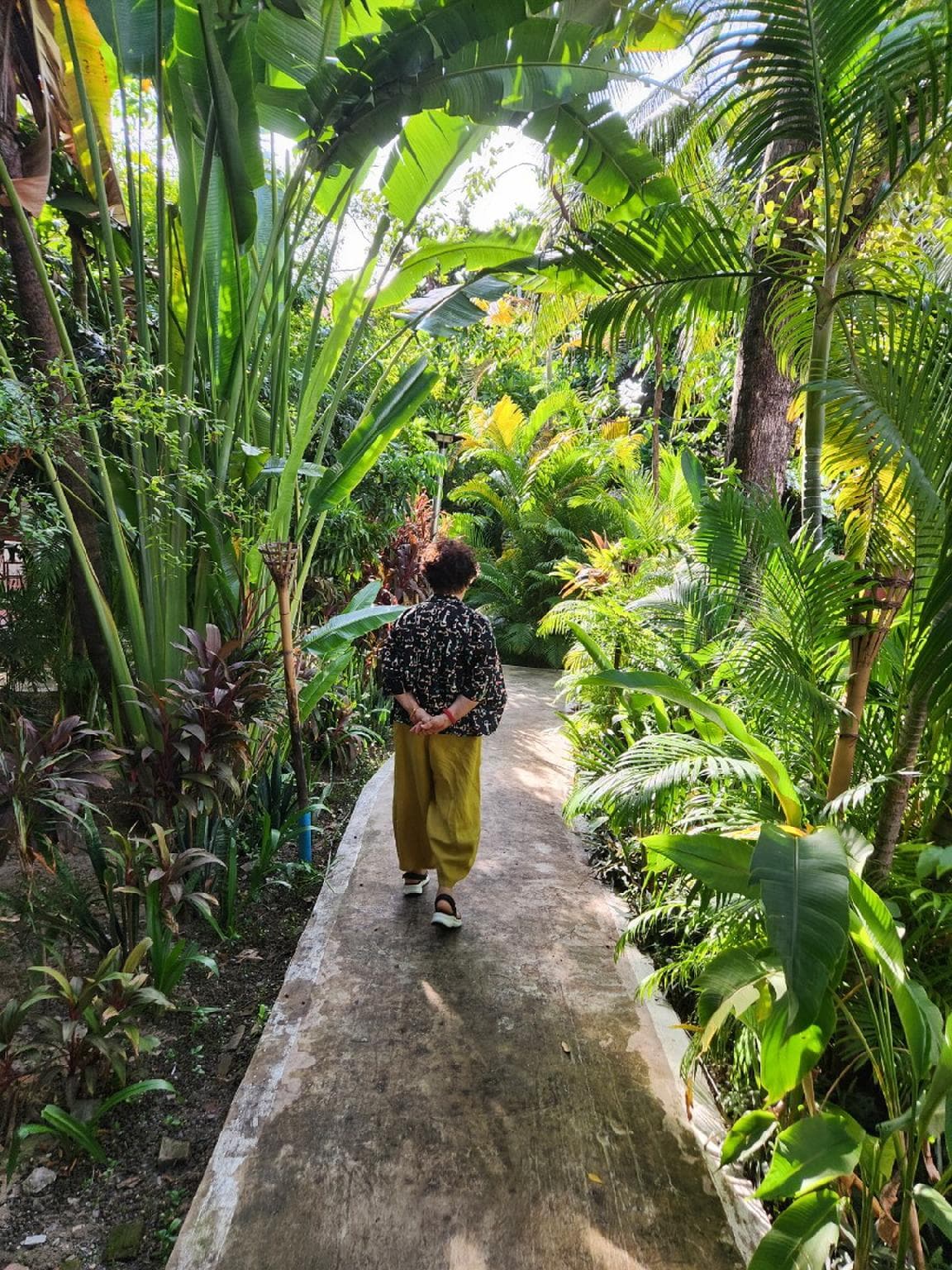 Paradise K Forest Hotel photo 3