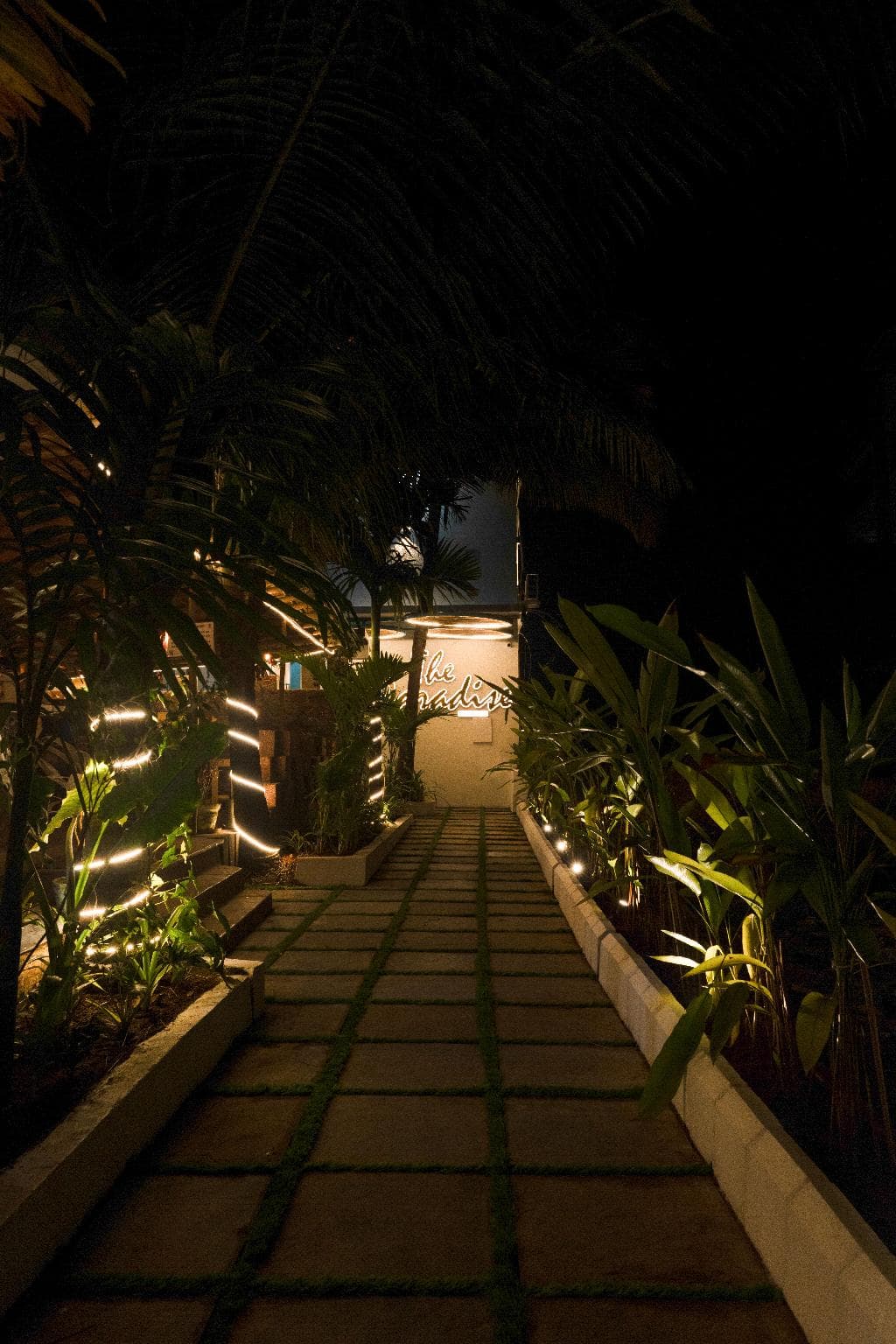 The Paradise - By the fields photo 4