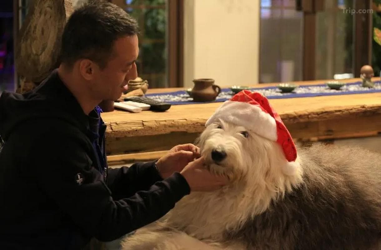 Jiaochangwei Yipin Hanshe B&B photo 5