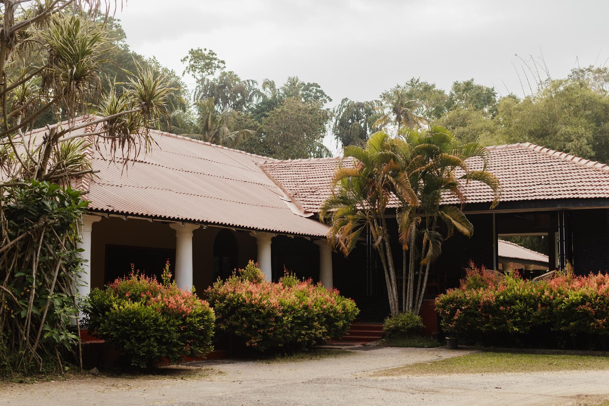 Sri Lanka Resthouse Collective: Salthouse Weligama