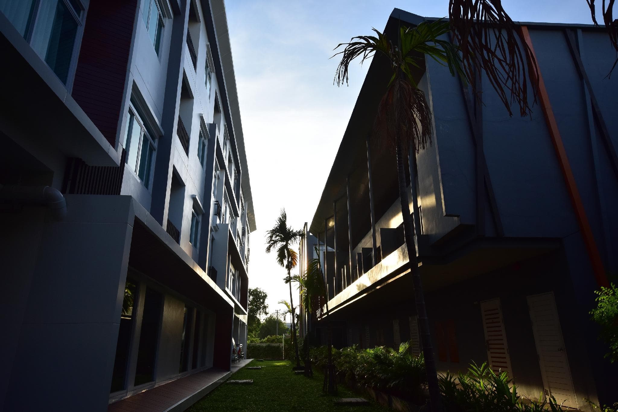 Paeva Luxury By Nakra Functionality photo 3