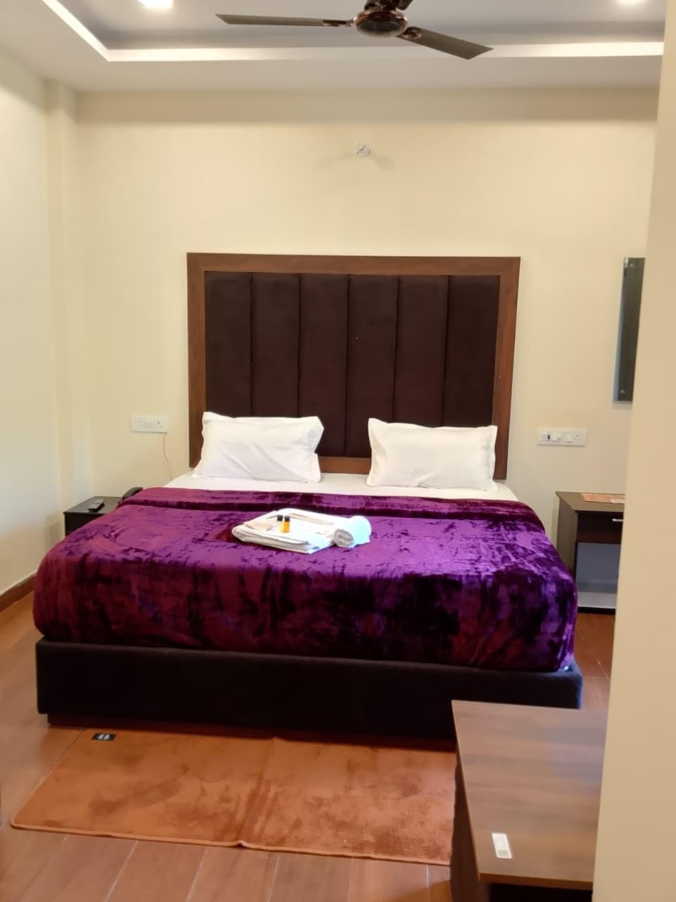 Hotel Vishla Palace photo 2