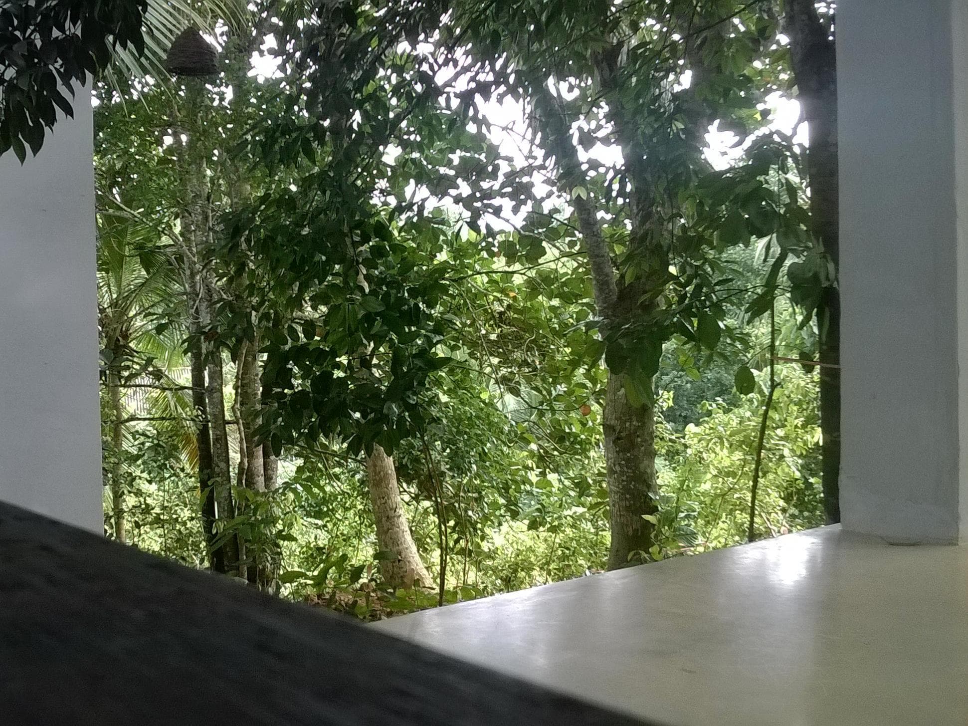Hotel Garcinia Leaf photo 3