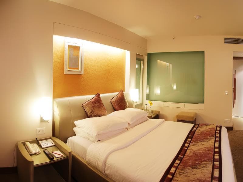 Sayaji Indore photo 3