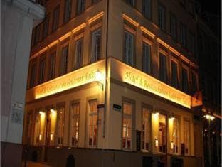 Hotel Goldener Falke photo 4