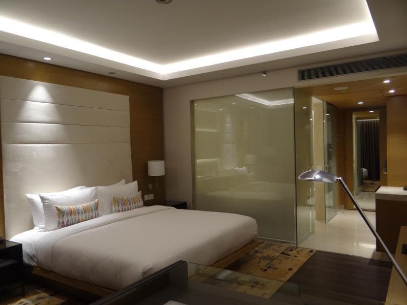 Feathers - A Radha Hotel Chennai photo 2