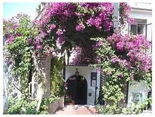 Hotel Condor photo 4