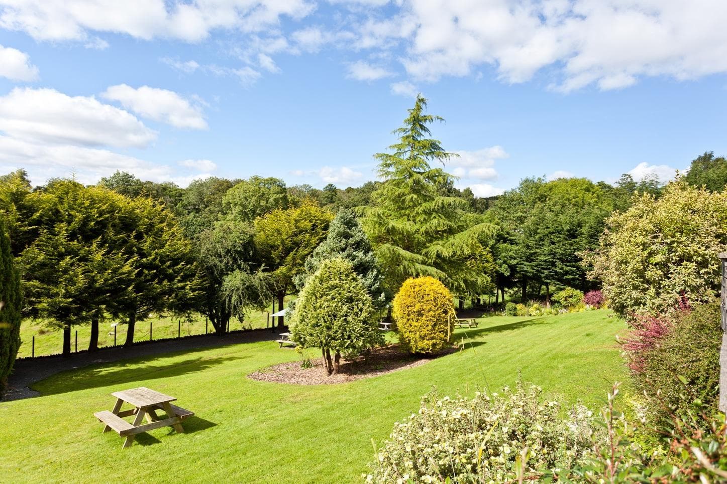 Craig Manor Hotel photo 4