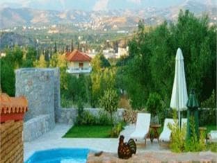 Anthemion Suites and Villas photo 5