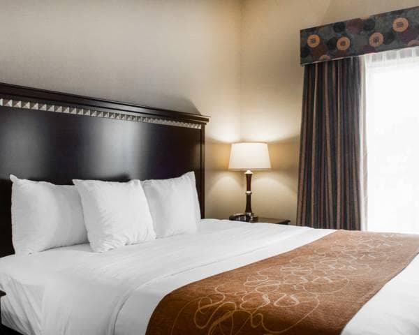 Comfort Suites Near Texas A&M - Corpus Christi photo 4
