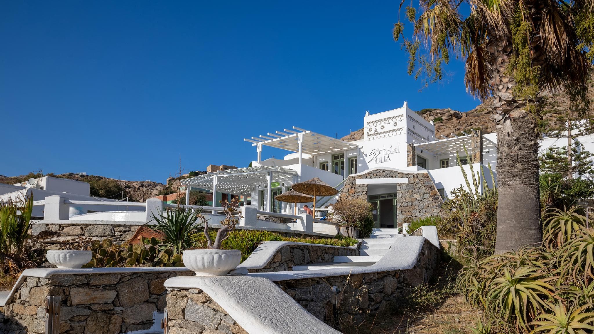 Olia Hotel photo 4