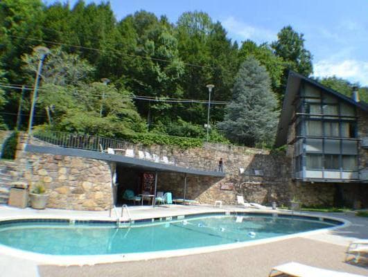 Fabulous Chalet Inn photo 3
