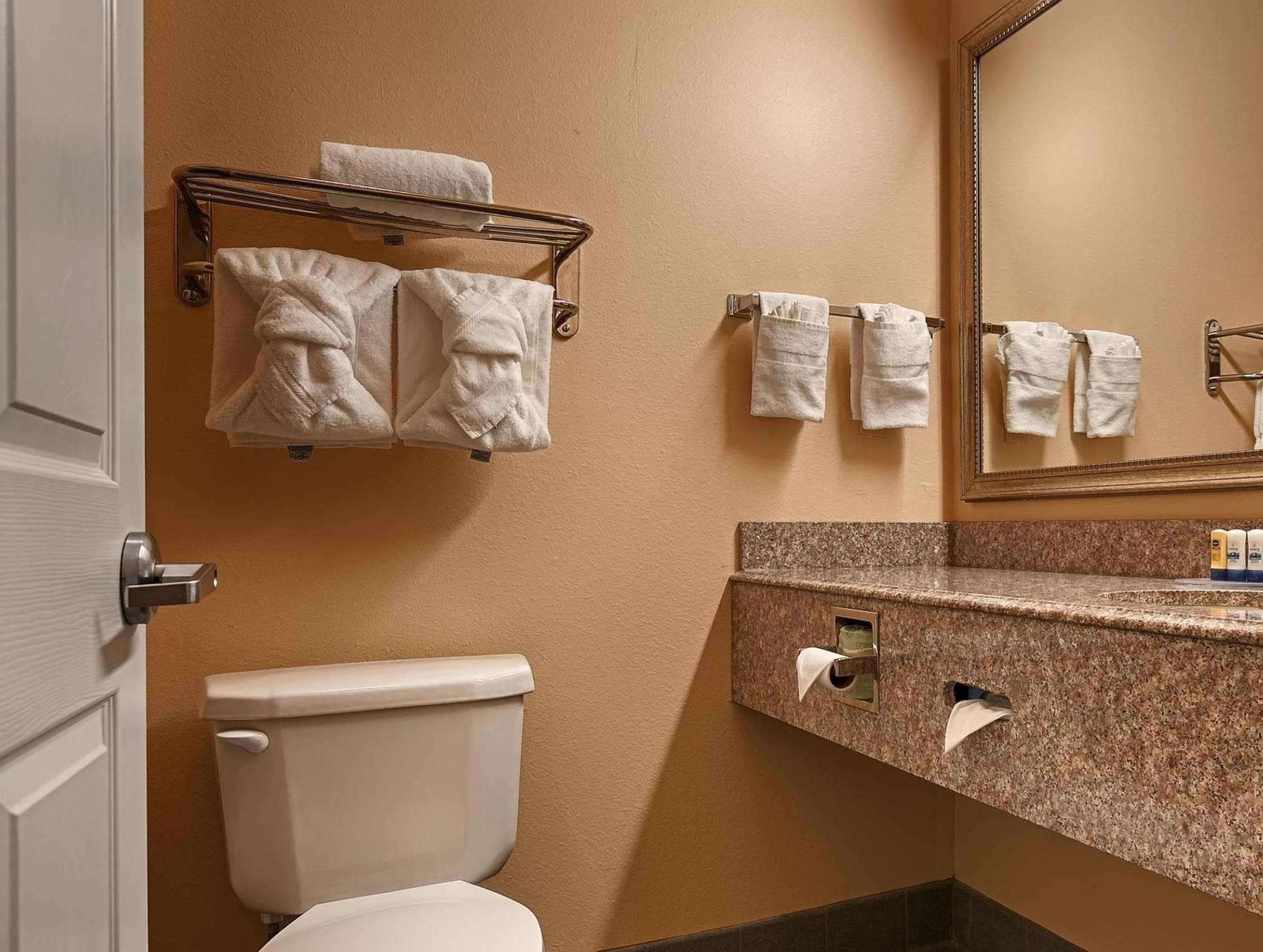 Best Western Plus New Caney Inn & Suites photo 2