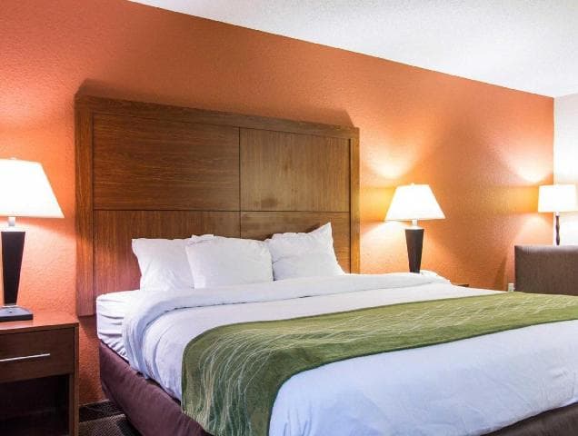 Comfort Inn & Suites Charleston Airport Convention Center photo 4