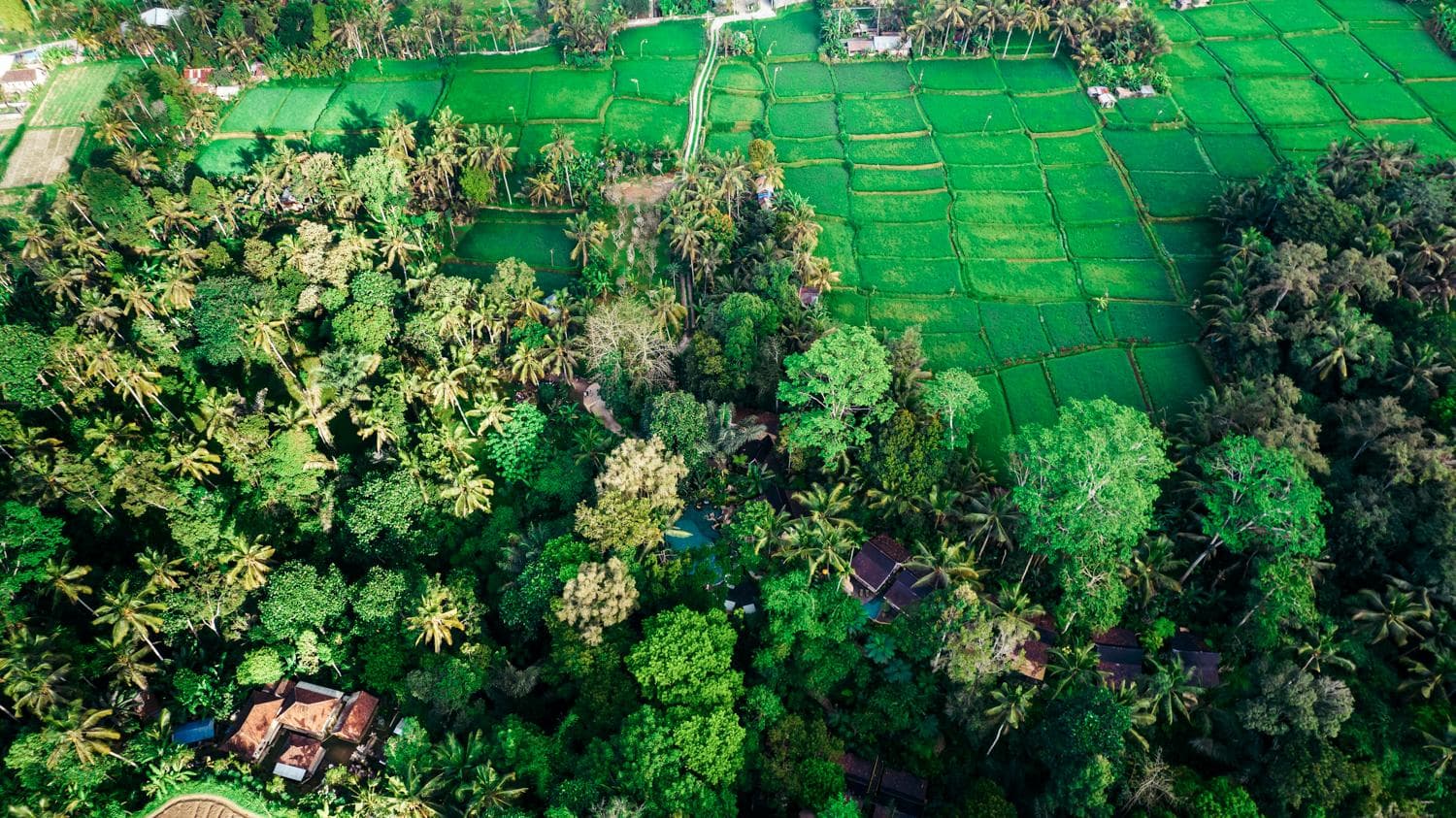 Pramana Giri Kusuma photo 3