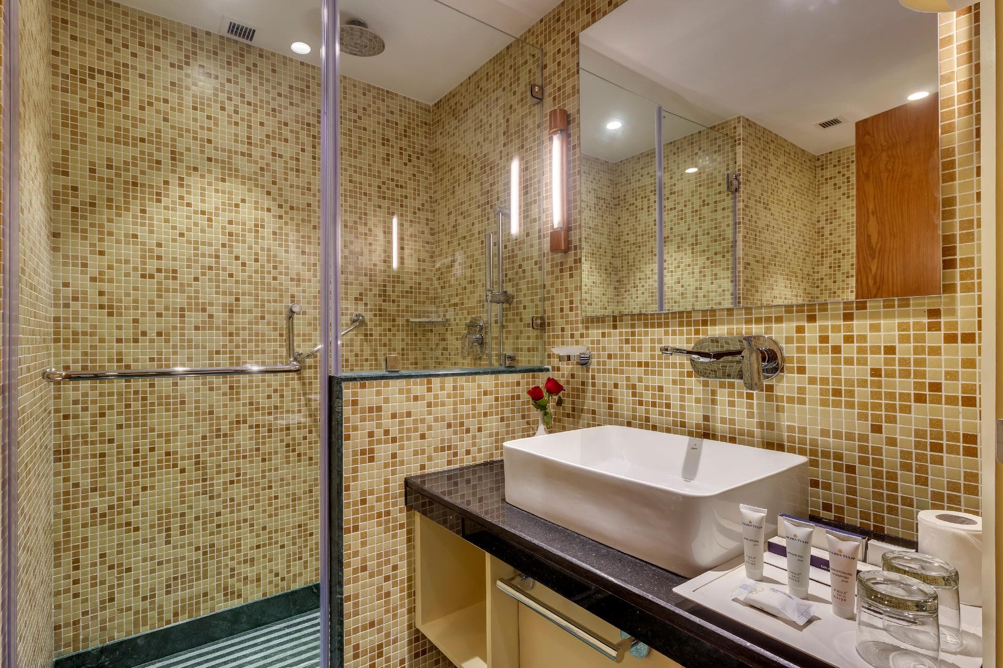 Golden Tulip New Delhi - Hari Nagar photo 3