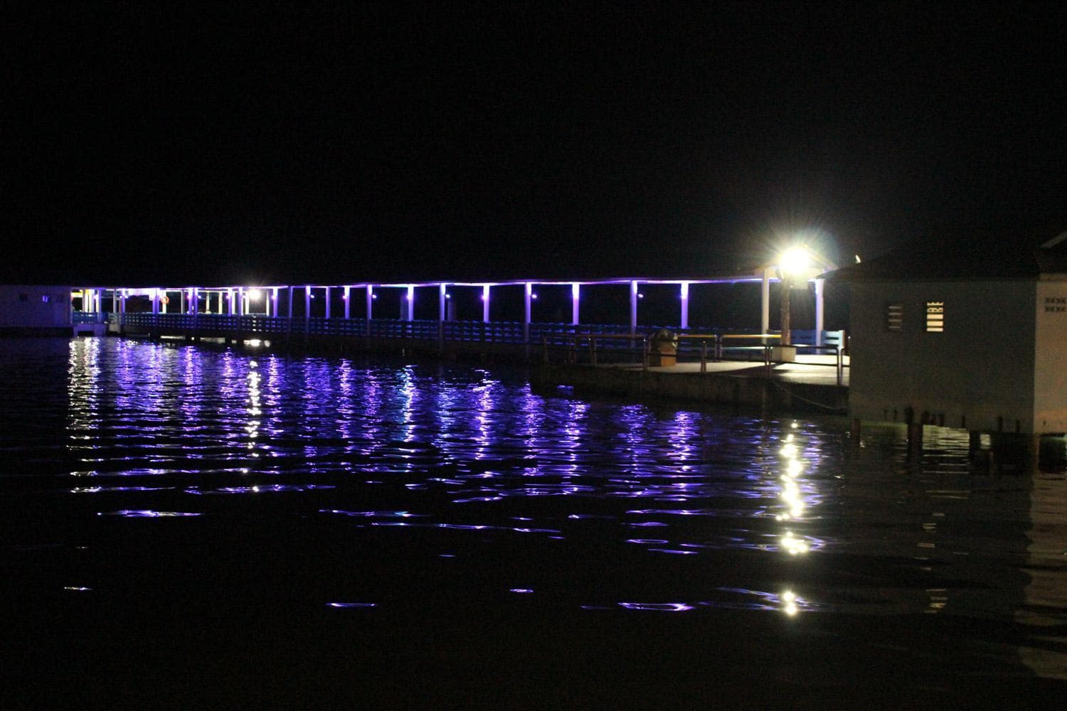 Sea Lion Hotel @ Pulau Ketam photo 3