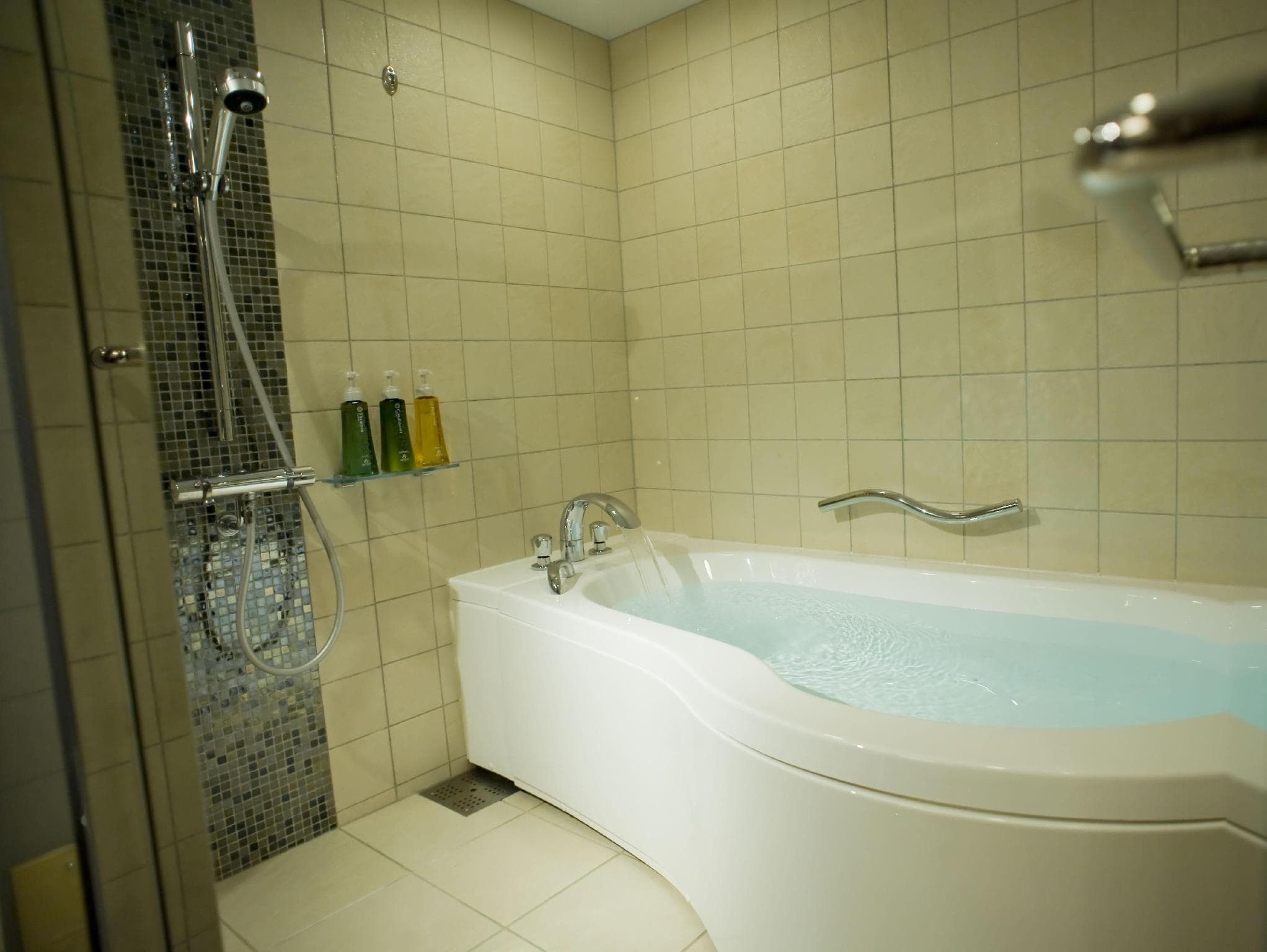 Kyoto Brighton Hotel photo 2