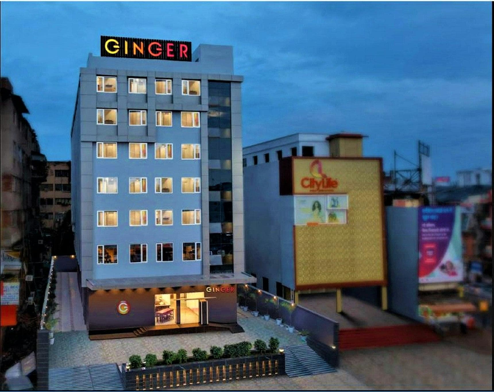 Ginger Patna photo 3