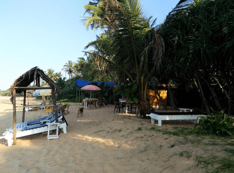 Hikkaduwa backyard beach homestay photo 3