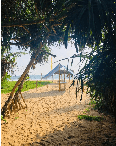 Hikkaduwa backyard beach homestay photo 4