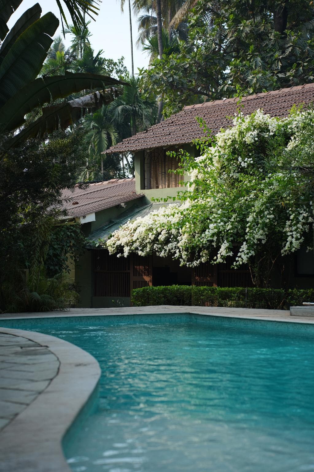 OCEANATURE ALIBAUG