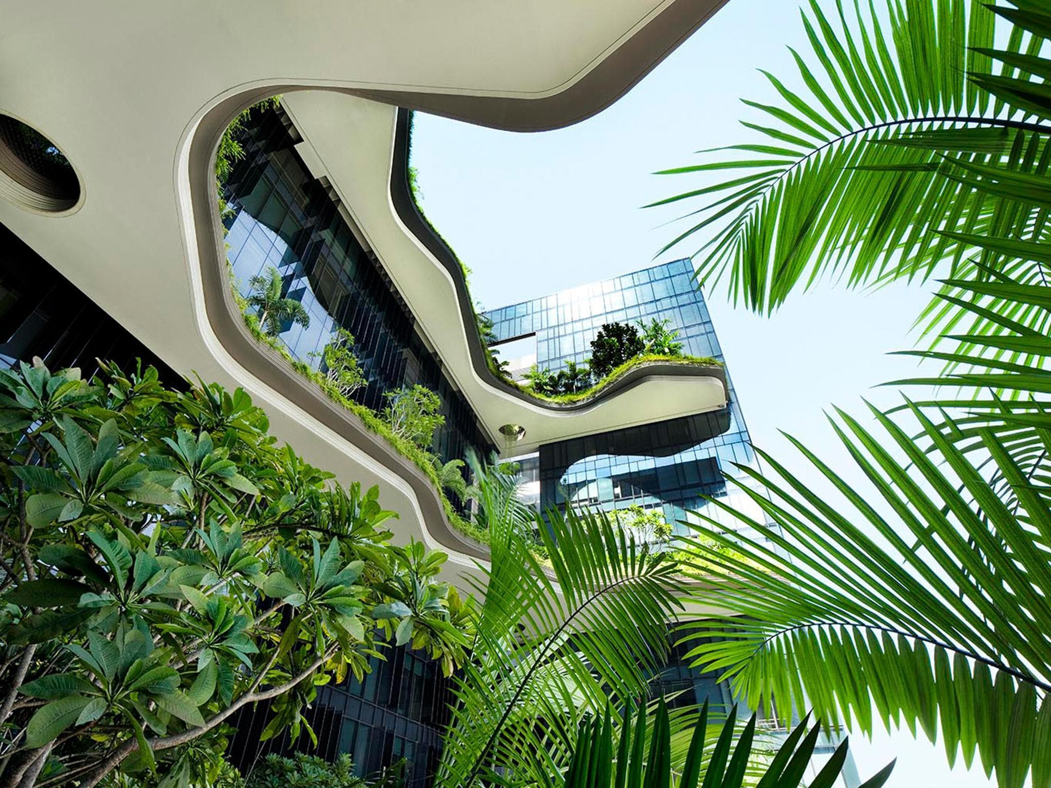 PARKROYAL COLLECTION Pickering, Singapore photo 3