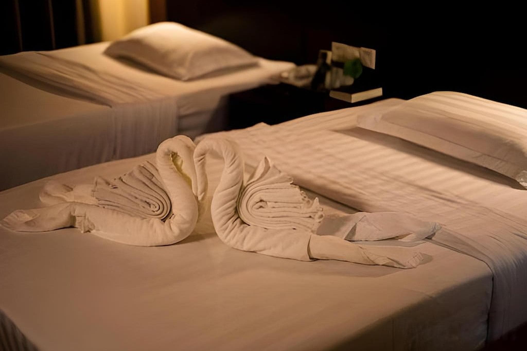 Hotel Essencia photo 2