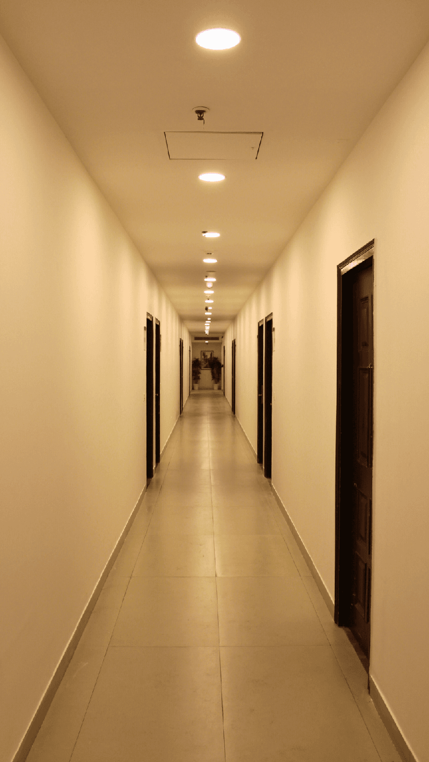 HIBISCUS SELECT HOTEL photo 5