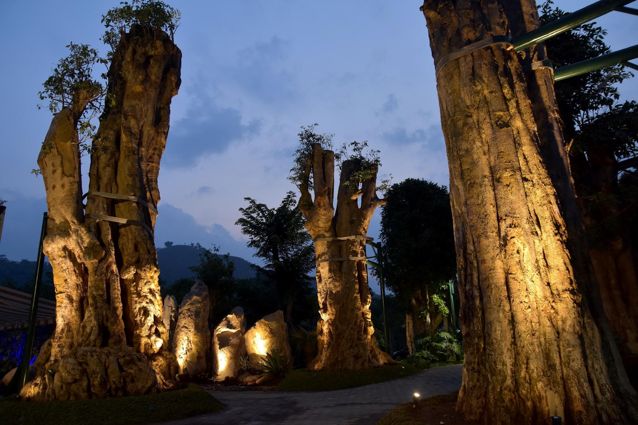 SARGA Earthing Resort photo 5