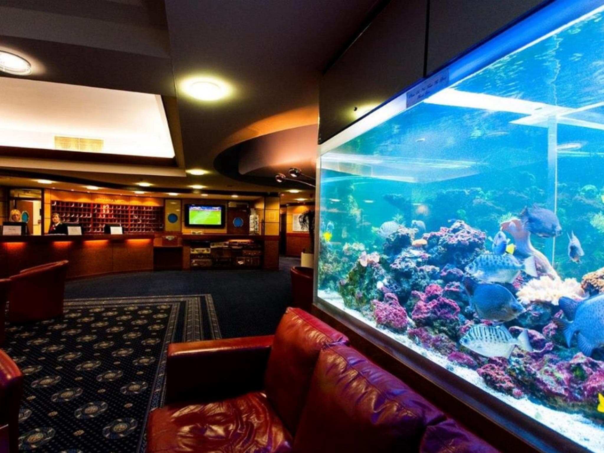 The Liner Hotel photo 3