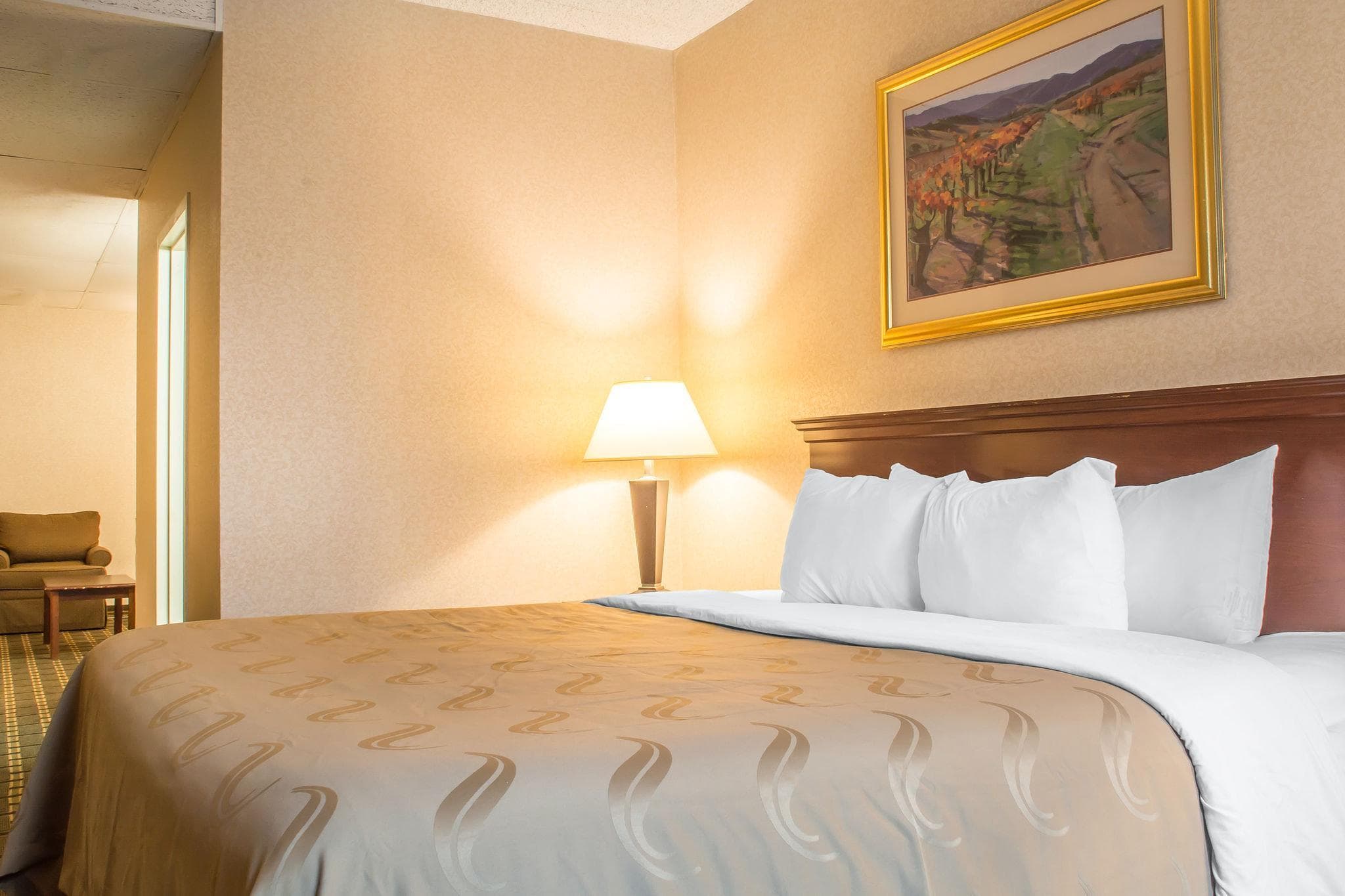 Quality Inn & Suites Palm Island Indoor Waterpark photo 3