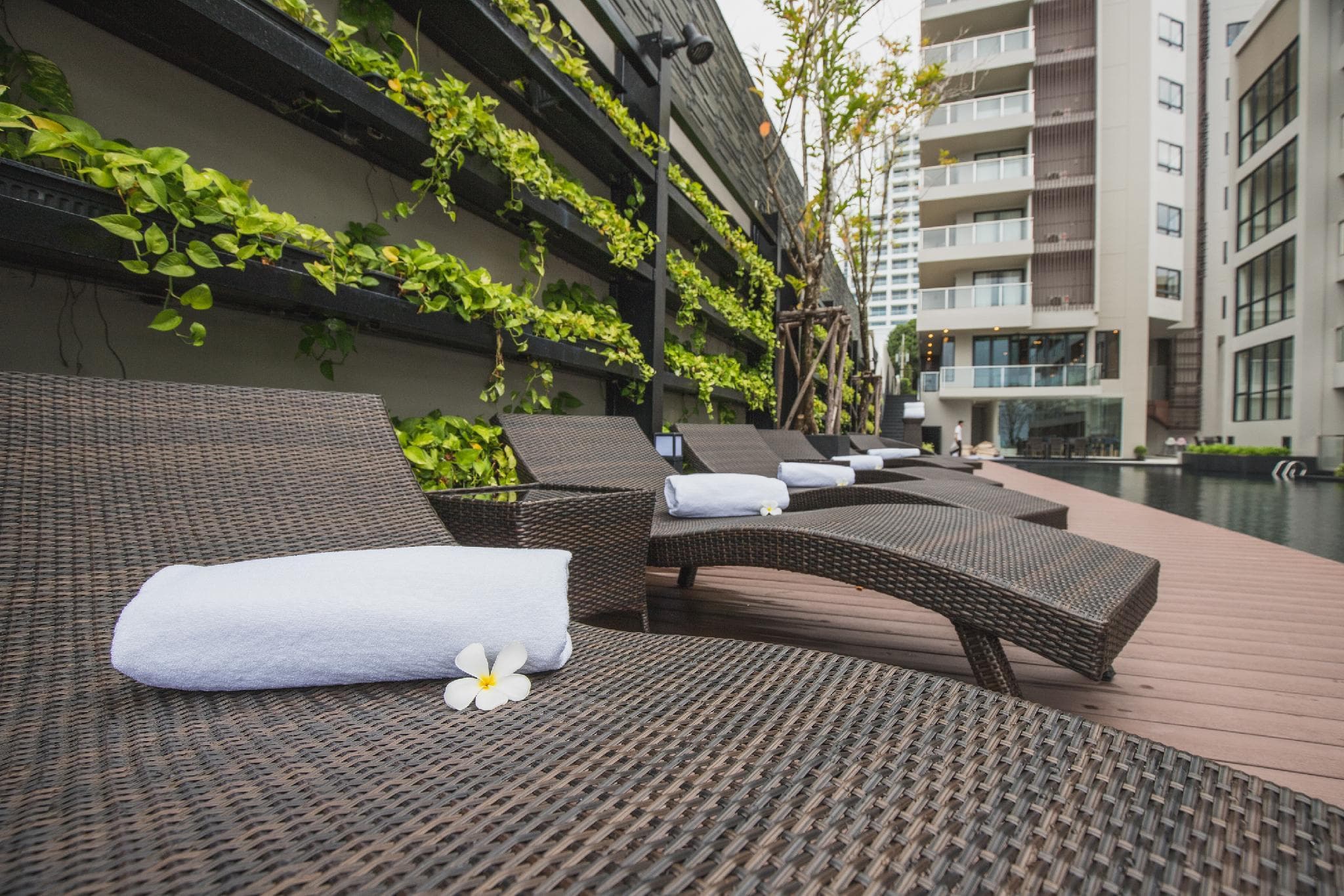 Golden Tulip Pattaya Beachfront Resort photo 5